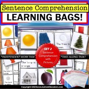 Sentence Comprehension with Pictures Learning Bag for Special Education SET 2